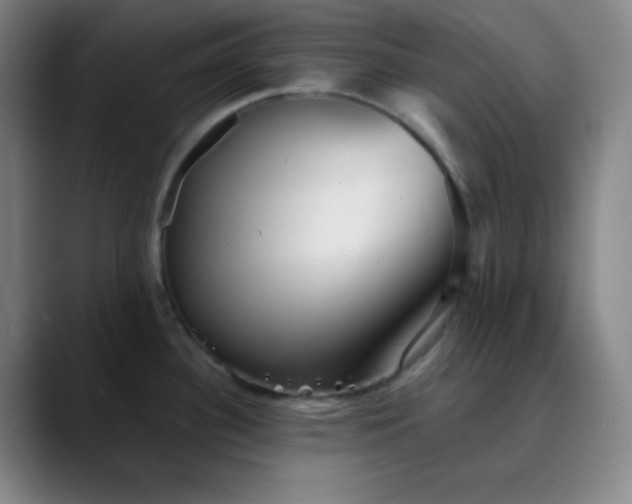 X0000089881340200707121805