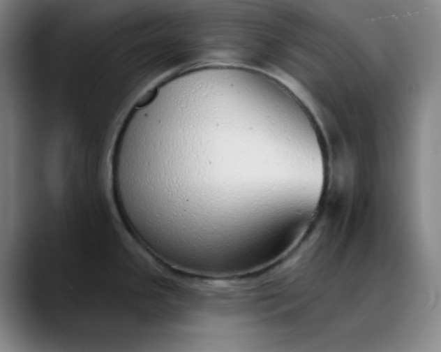 X0000089881341200707121805