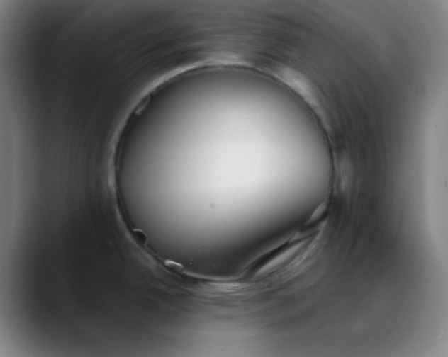 X0000089881342200707121805