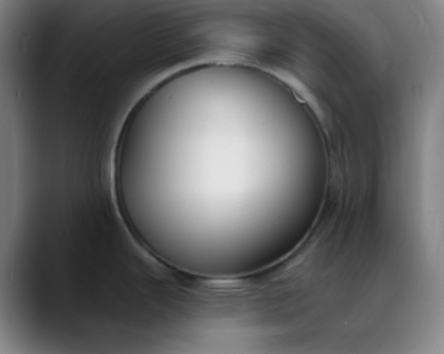 X0000089881343200707121805