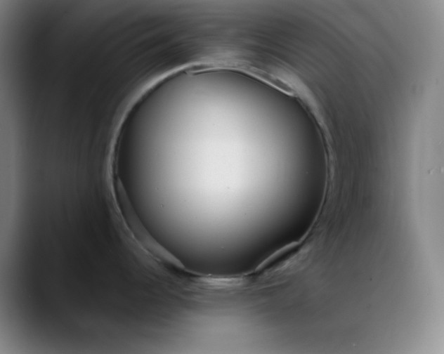 X0000089881344200707121806