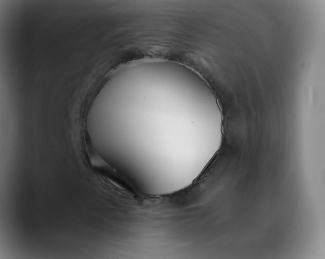 X0000089881345200707121805