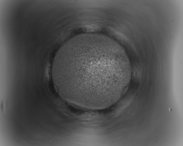 X0000089881346200707121805