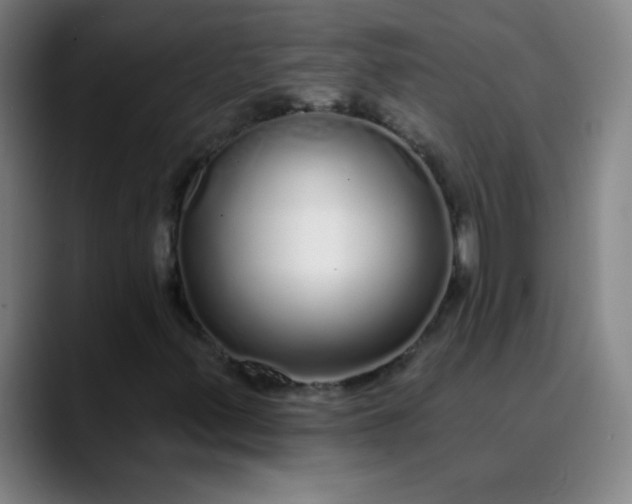 X0000089881347200707121805