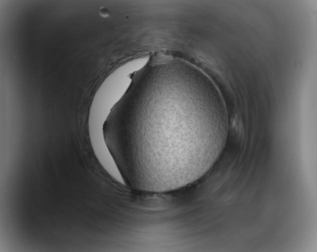 X0000089881348200707121805