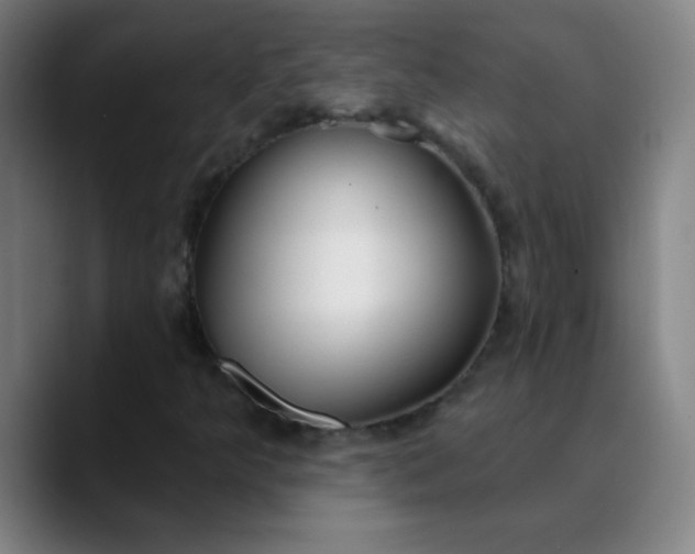 X0000089881349200707121805