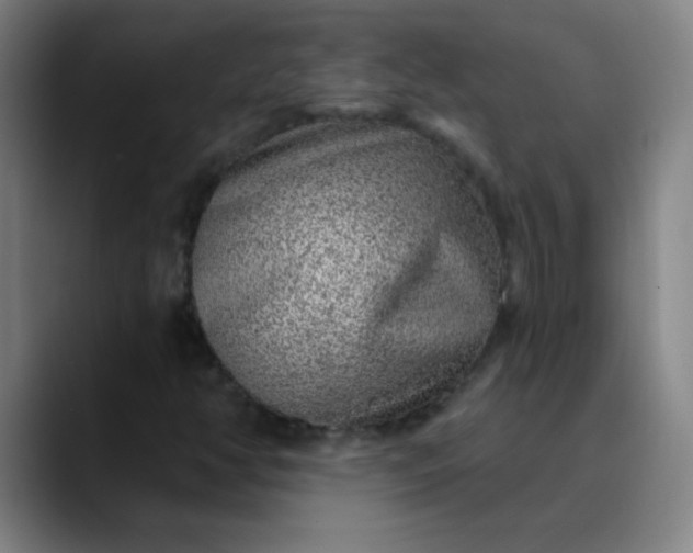 X0000089881350200707121805