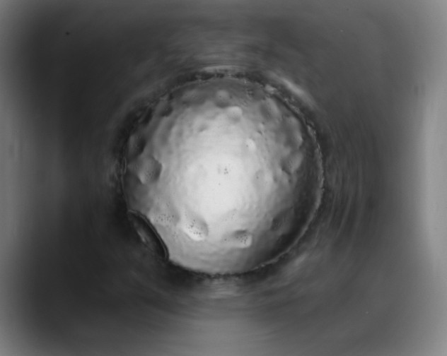 X0000089881351200707121805