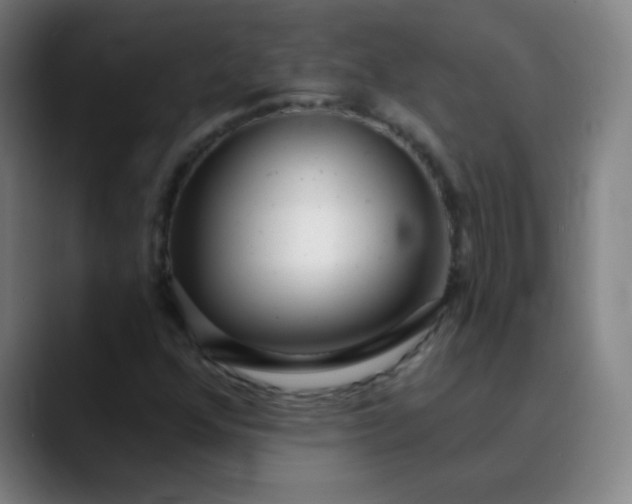 X0000089881352200707121805