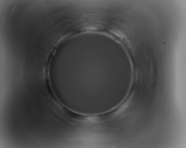 X0000089881353200707121805