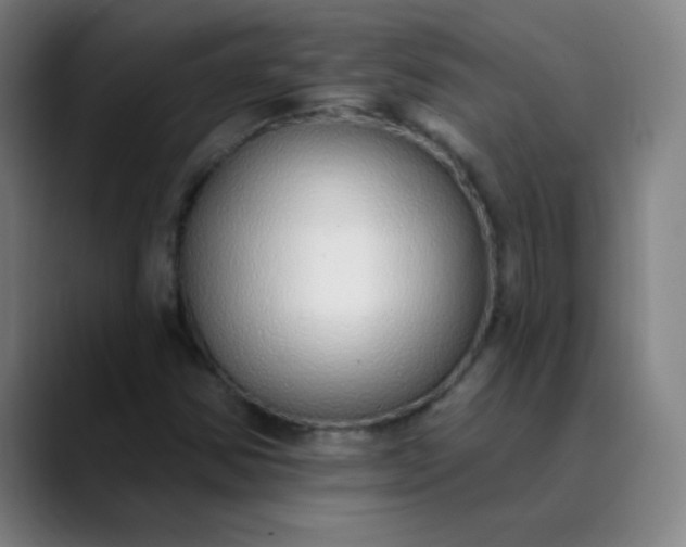 X0000089881354200707121805