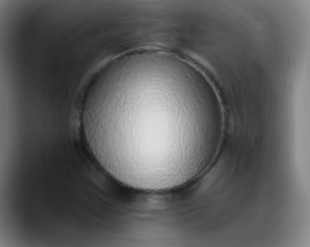 X0000089881355200707121805