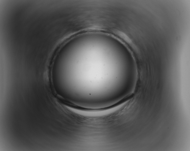 X0000089881356200707121805