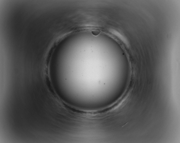 X0000089881357200707121805