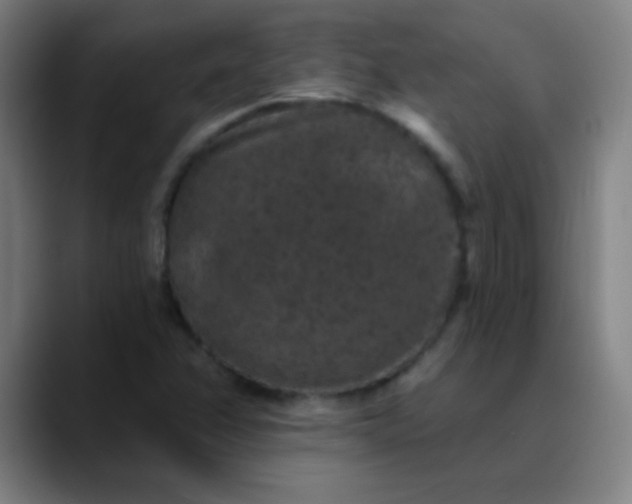 X0000089881358200707121805