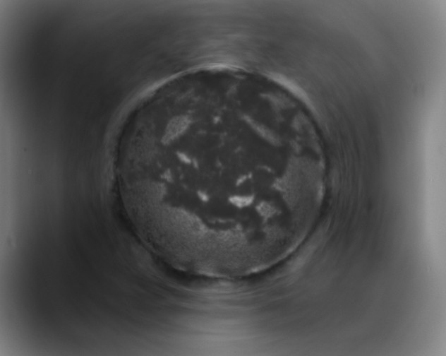 X0000089881359200707121805