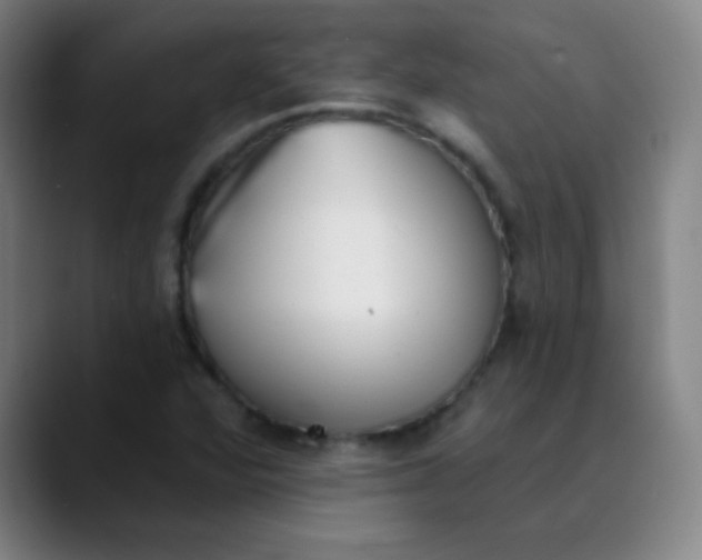 X0000089881360200707121805