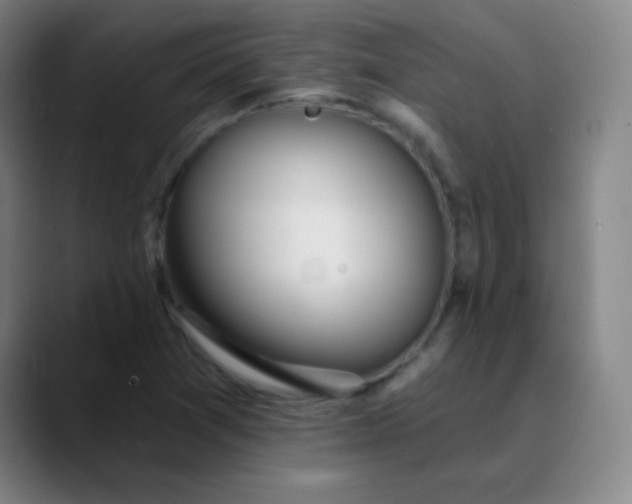 X0000089881361200707121805