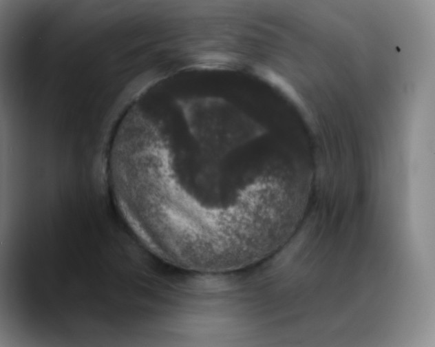 X0000089881362200707121805