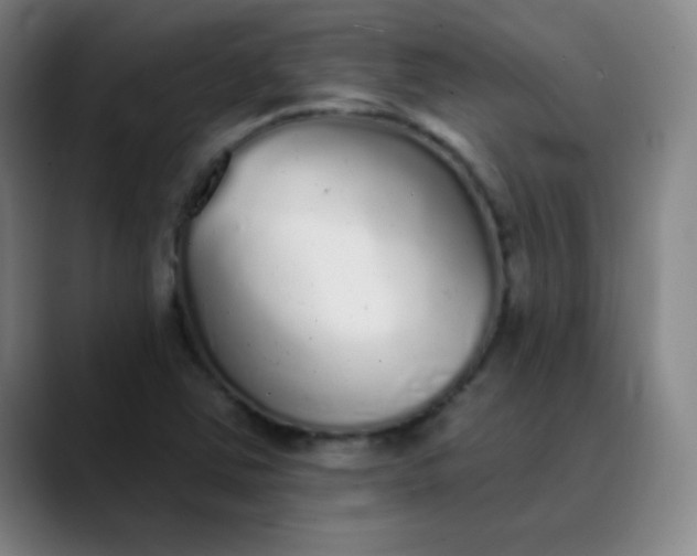 X0000089881363200707121805