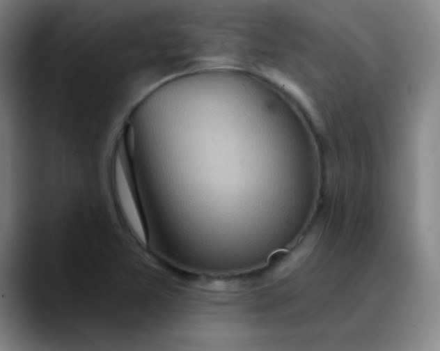 X0000089881365200707121805