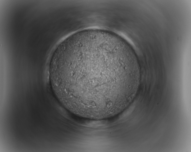 X0000089881367200707121805