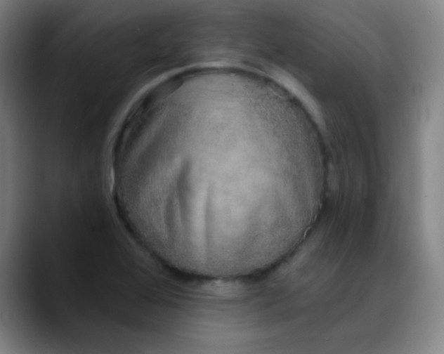 X0000089881368200707121805