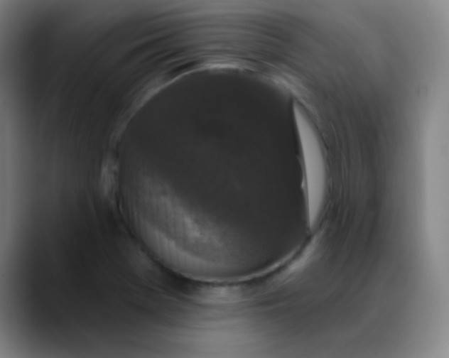 X0000089881369200707121805