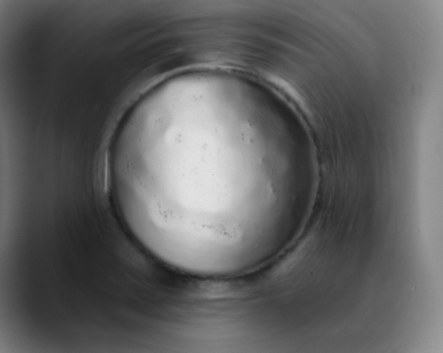 X0000089881371200707121805