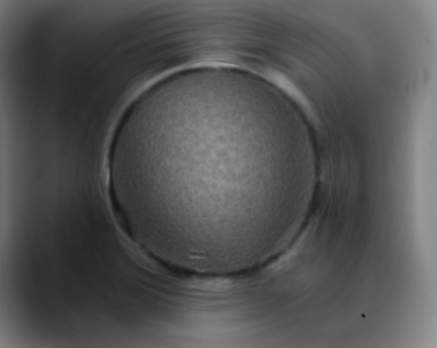 X0000089881372200707121805