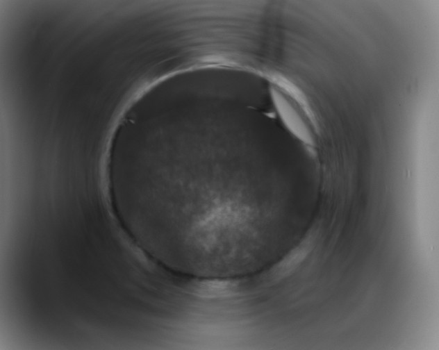 X0000089881373200707121805