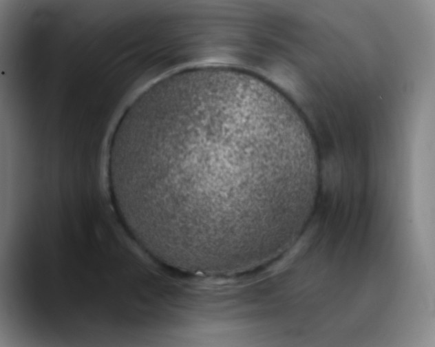 X0000089881374200707121805