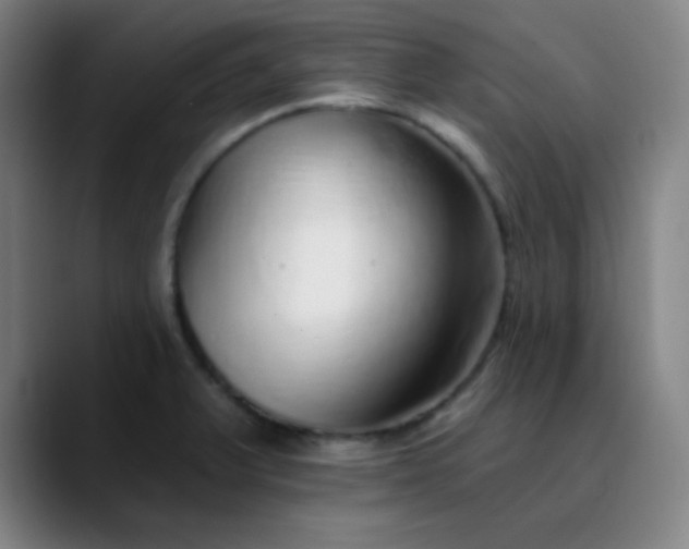 X0000089881375200707121805