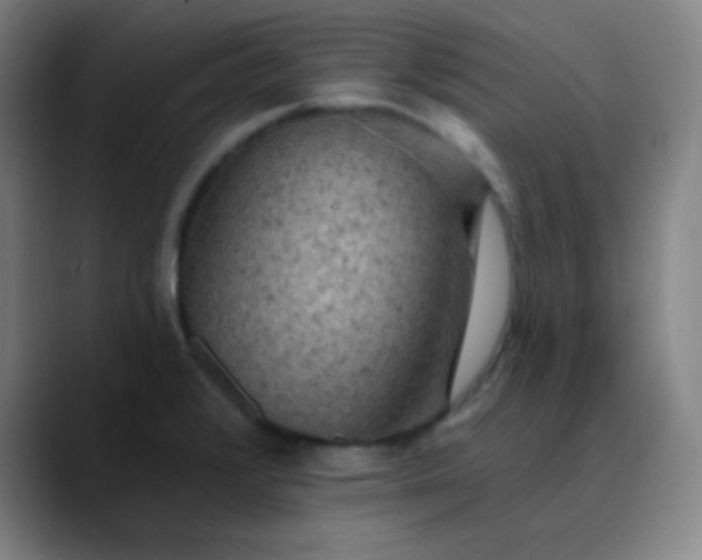 X0000089881376200707121805