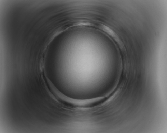 X0000089881377200707121805