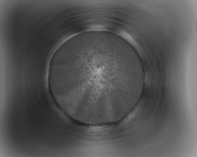 X0000089881378200707121805