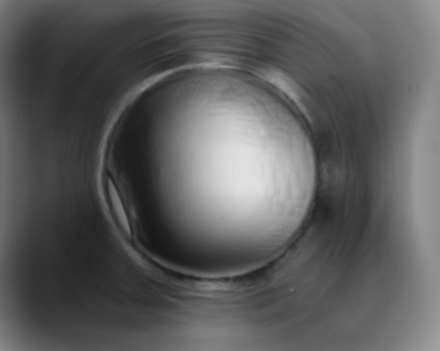 X0000089881379200707121805