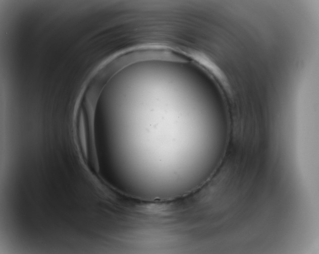 X0000089881380200707121805