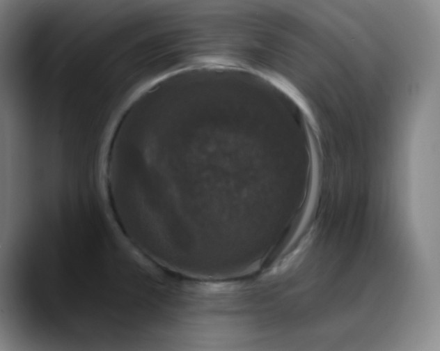 X0000089881381200707121805