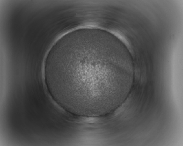 X0000089881382200707121805