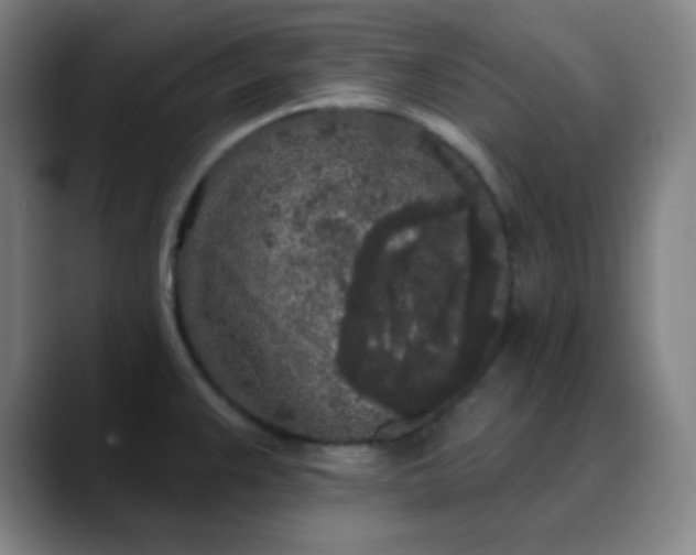 X0000089881383200707121805