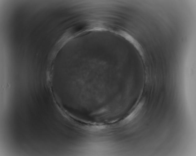 X0000089881385200707121804