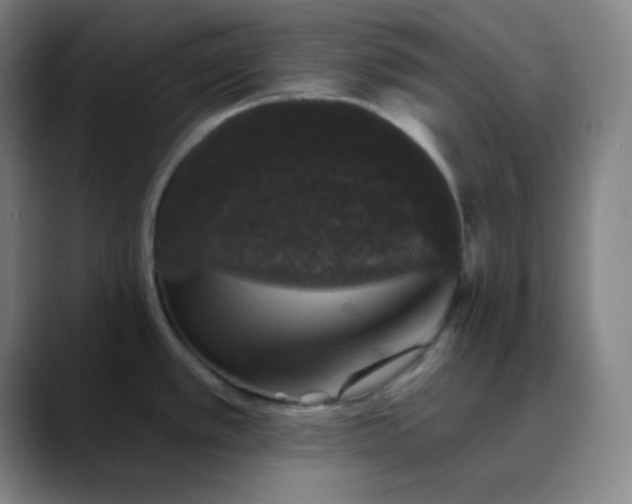 X0000089881389200707121804