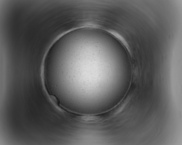 X0000089881391200707121804