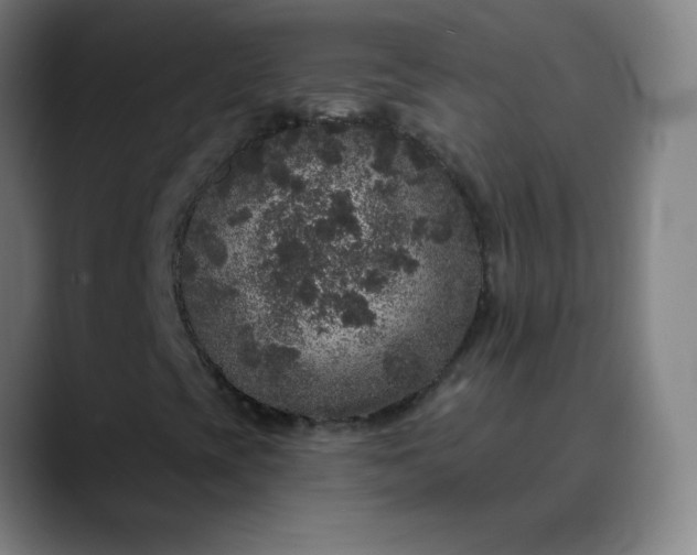 X0000089881393200707121804