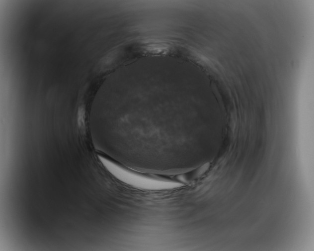 X0000089881394200707121804