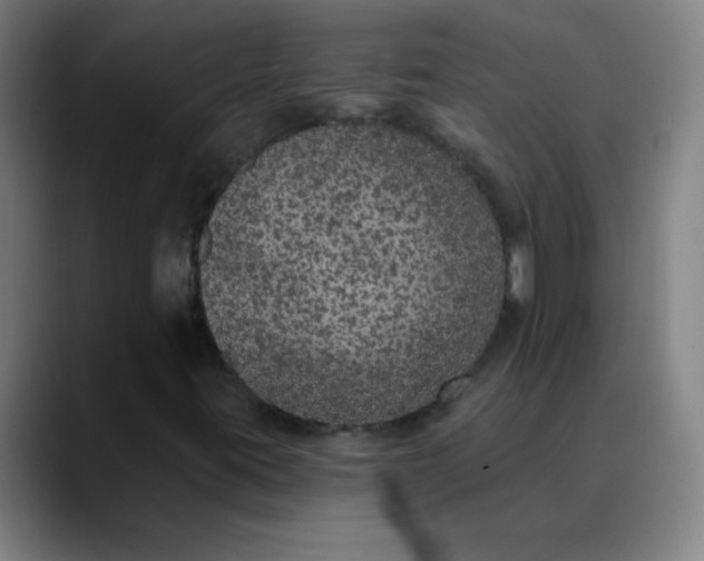 X0000089881395200707121804