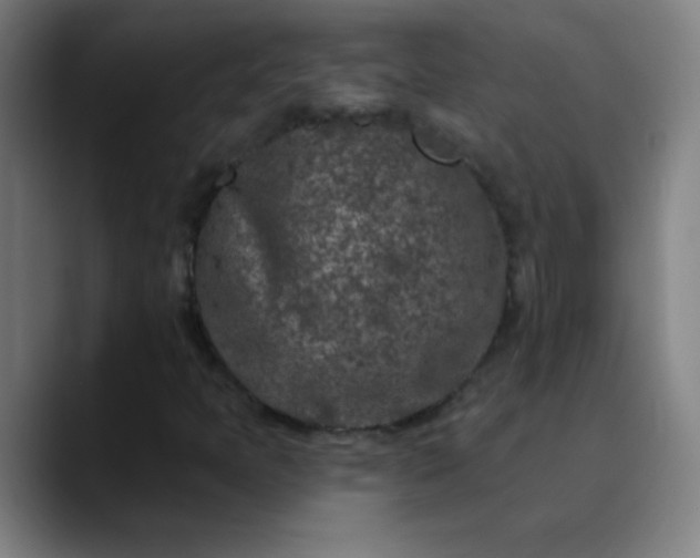 X0000089881397200707121804