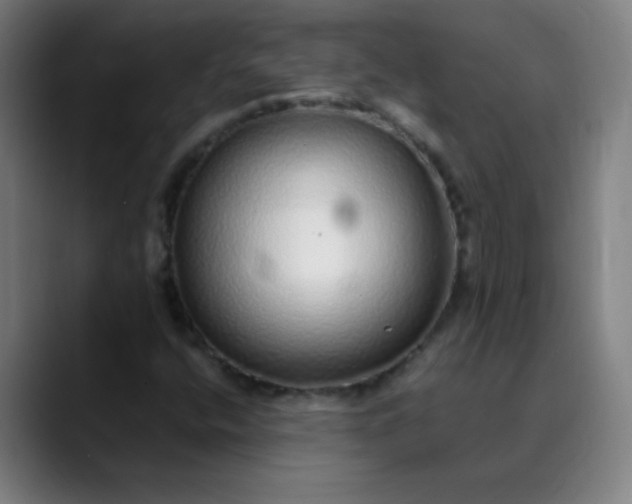 X0000089881400200707121804