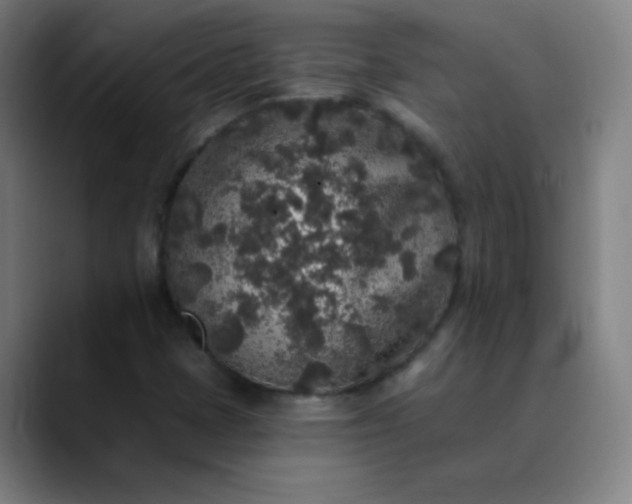 X0000089881401200707121804